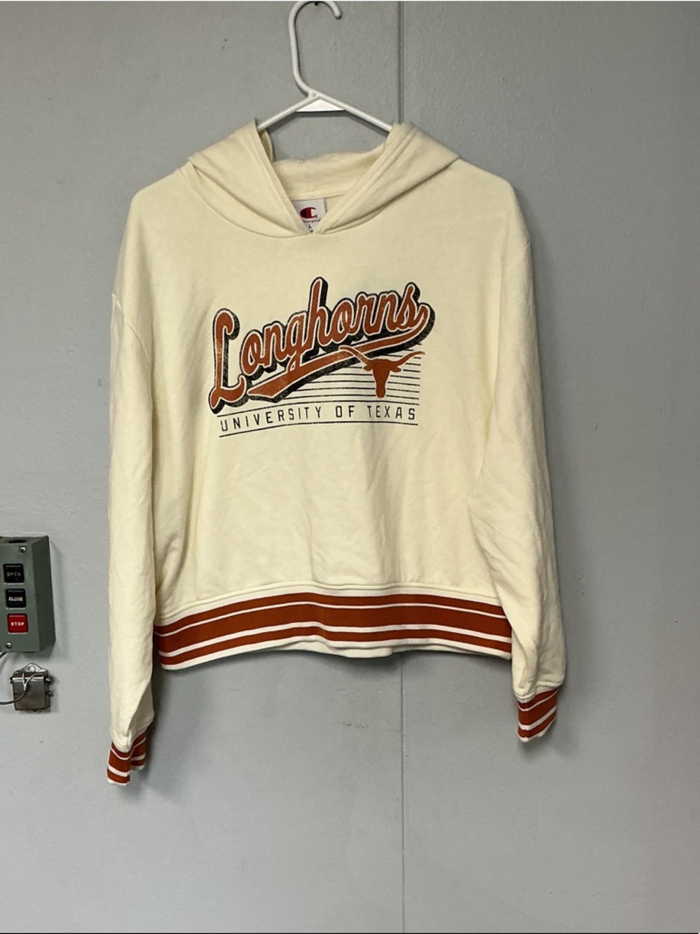Champion Texas Longhorns Cropped Hoodie